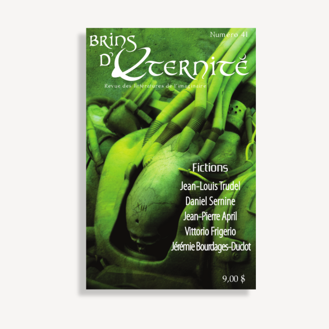 Brins d'éternité #41